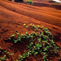 卧龙苍天陨落仓库在哪？卧龙苍天陨落仓库位置怎么进？